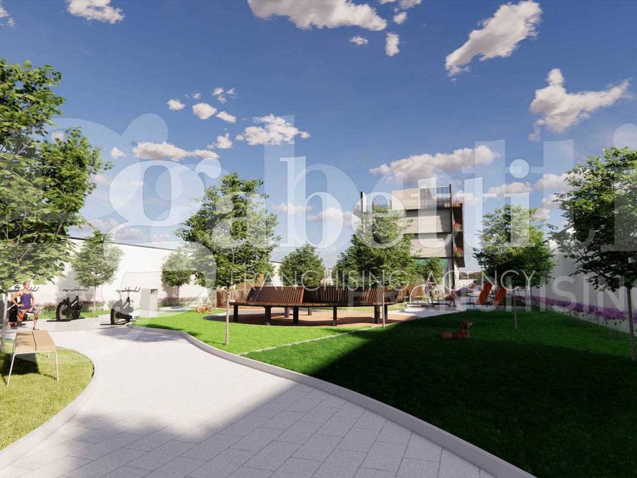 immagine annuncio 2 di 15