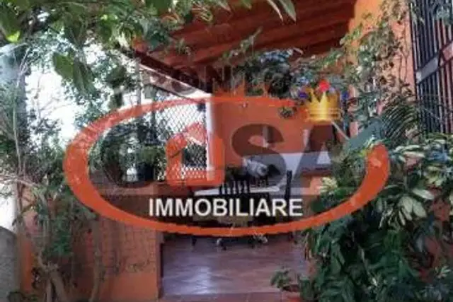 insertion image