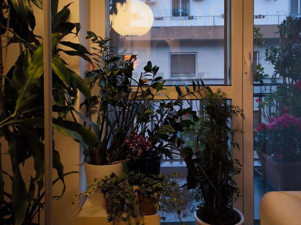 immagine annuncio 4 di 7