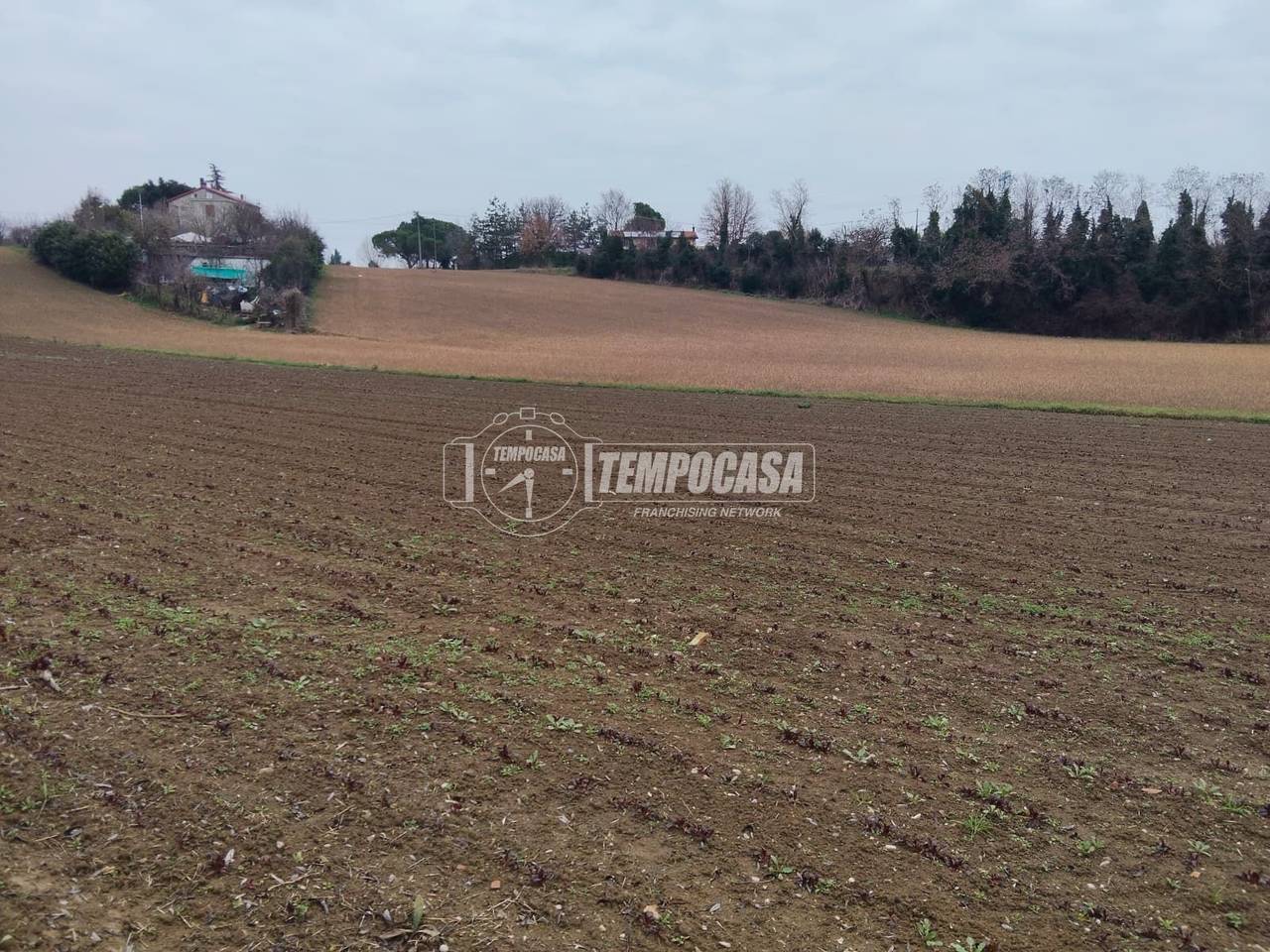 immagine annuncio 2 di 6