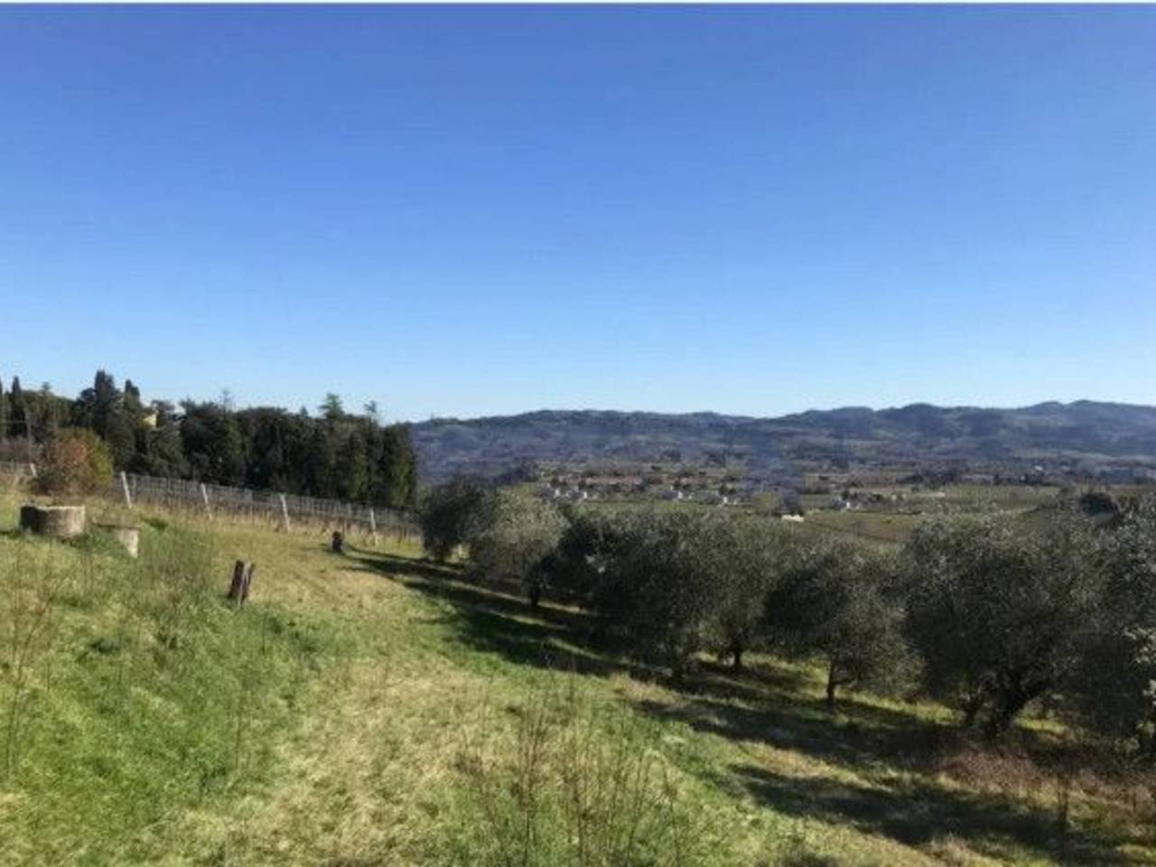 immagine annuncio 8 di 9