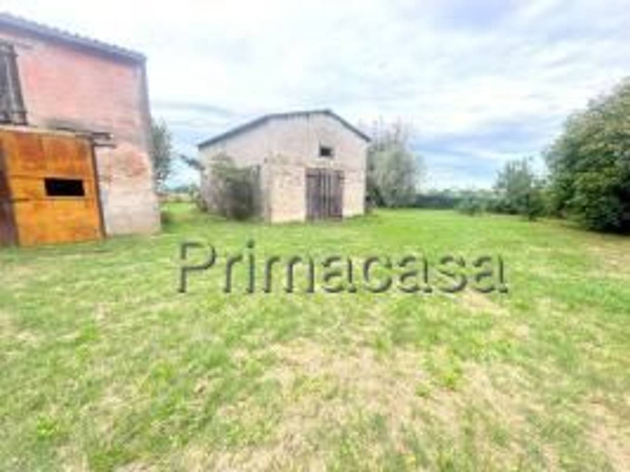 immagine annuncio 5 di 11