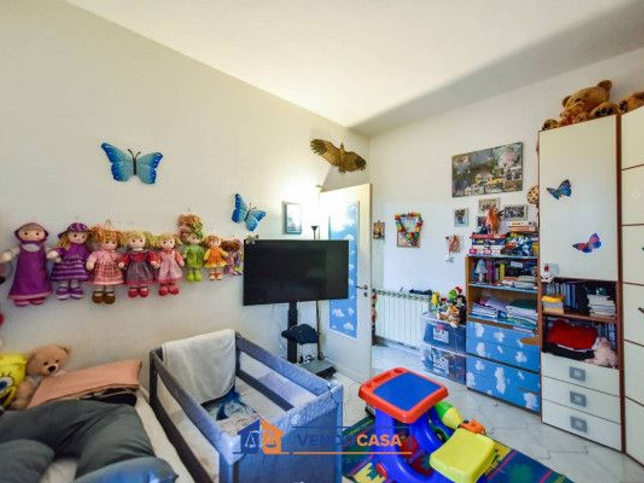 immagine annuncio 13 di 15