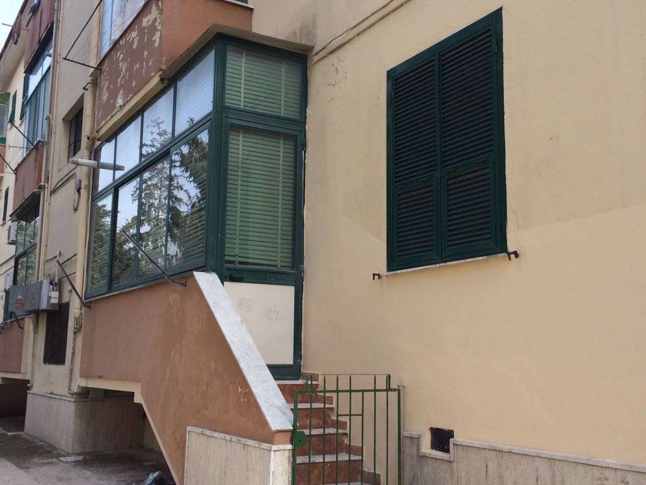 immagine annuncio 3 di 14