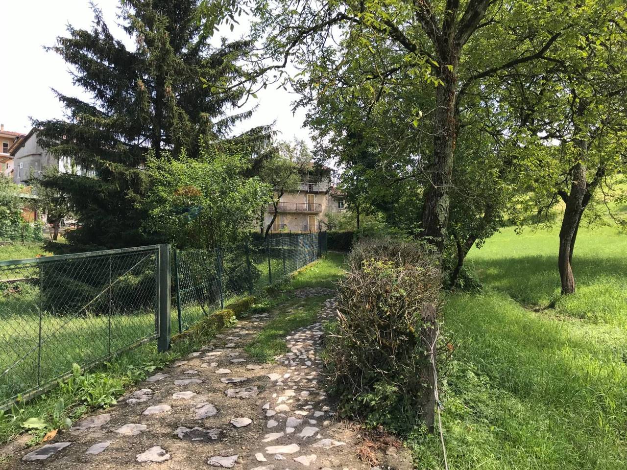 immagine annuncio 6 di 7