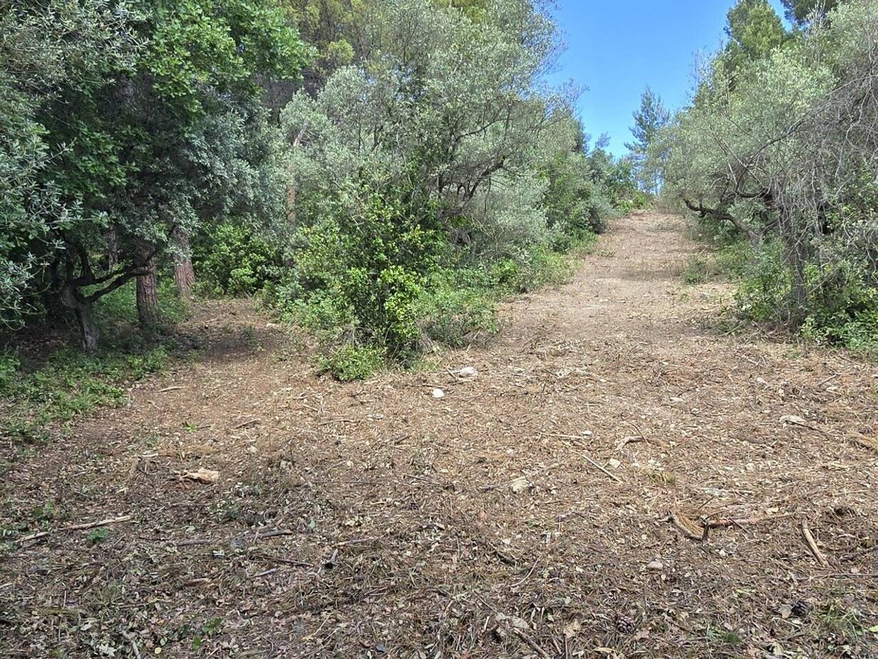 immagine annuncio 2 di 14