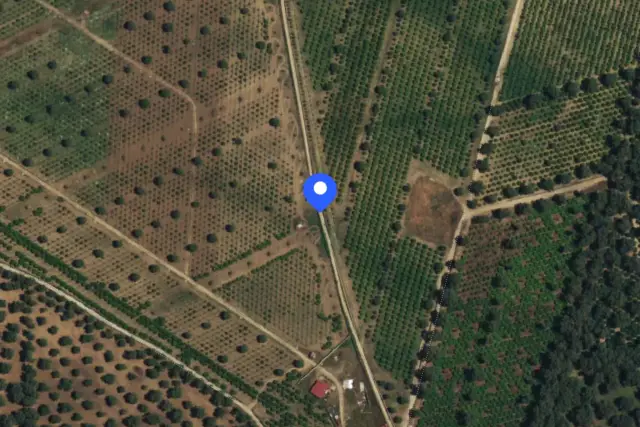 insertion image