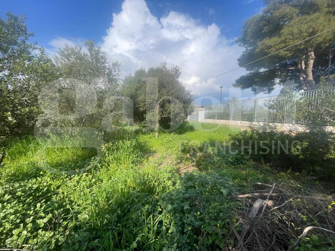 immagine annuncio 6 di 12