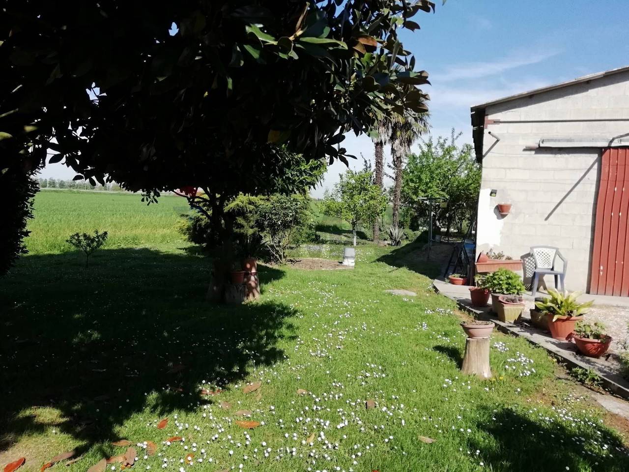 immagine annuncio 2 di 6