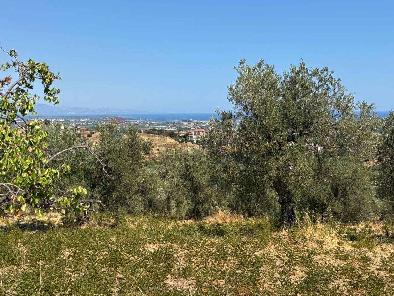 immagine annuncio 1 di 8