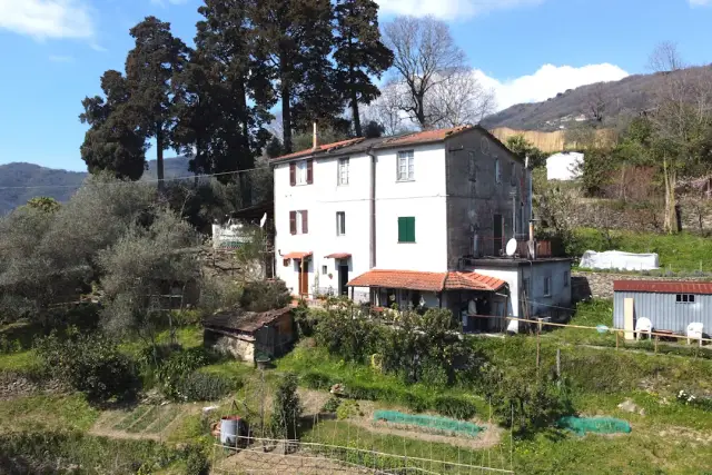 Terraced house in Via Torre Dondero 6, Rapallo - Photo 1