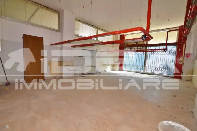 insertion image
