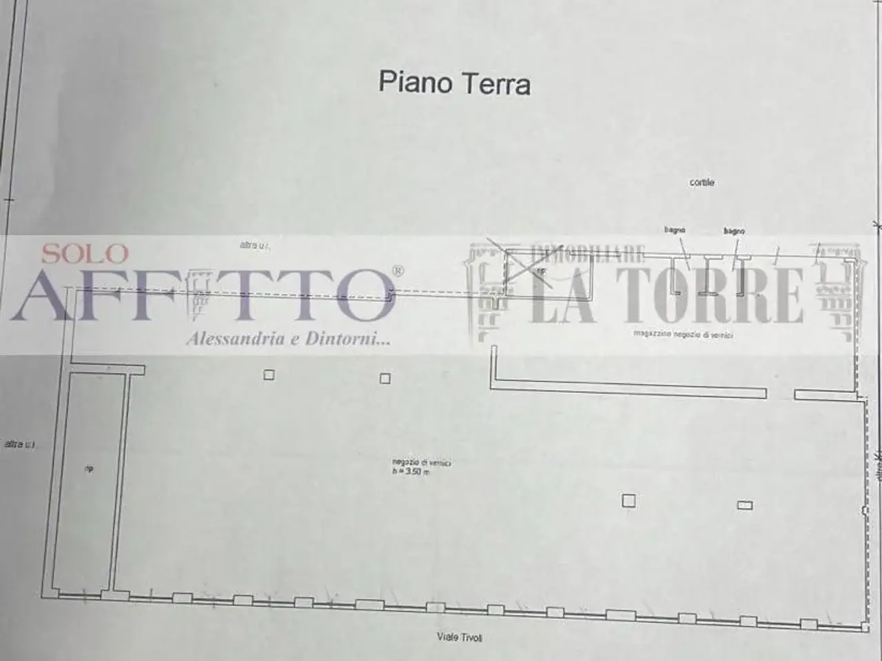 Negozio in Corso Carlo Marx, Alessandria, {3} - Planimetria 1