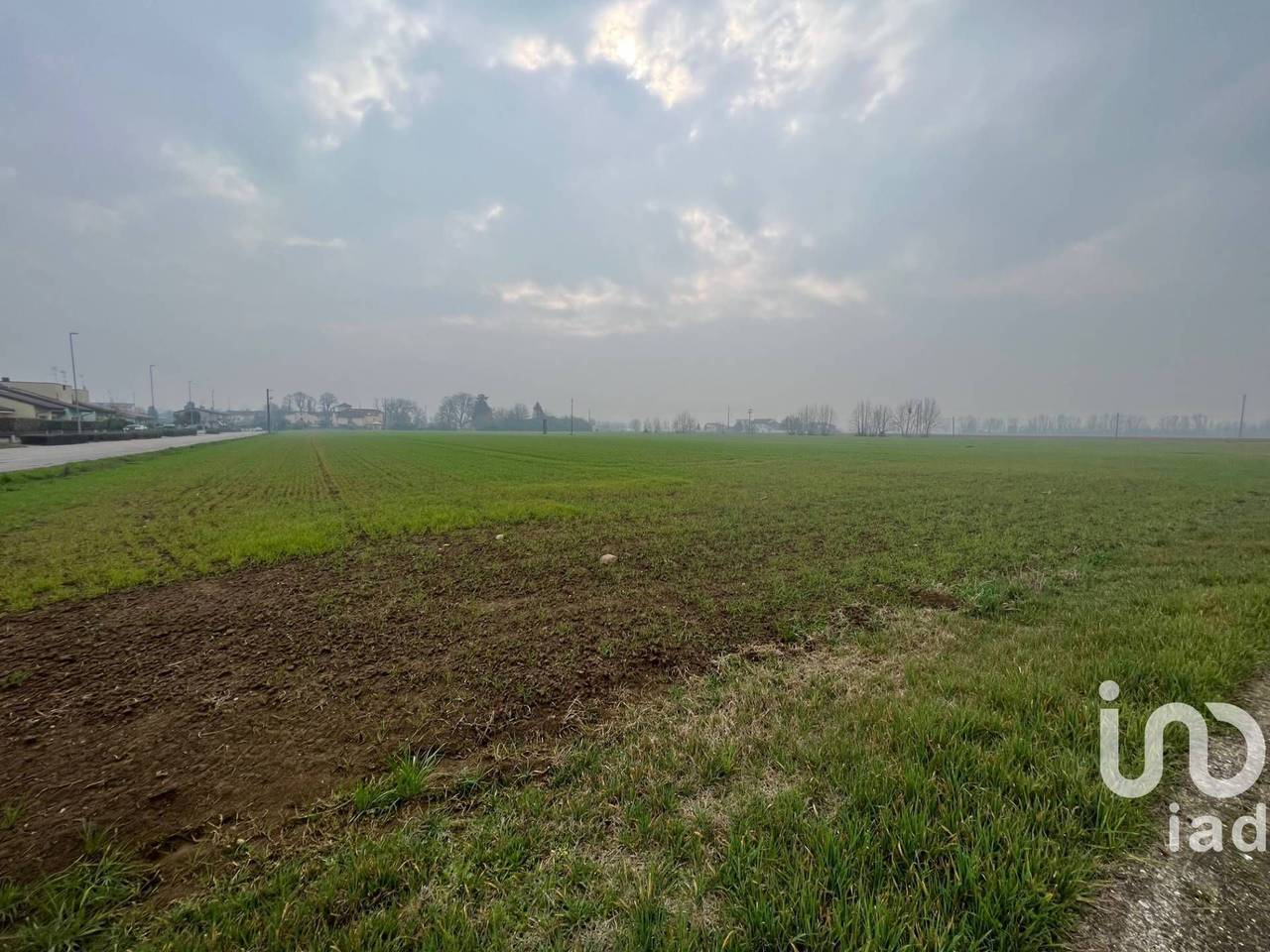 immagine annuncio 5 di 7