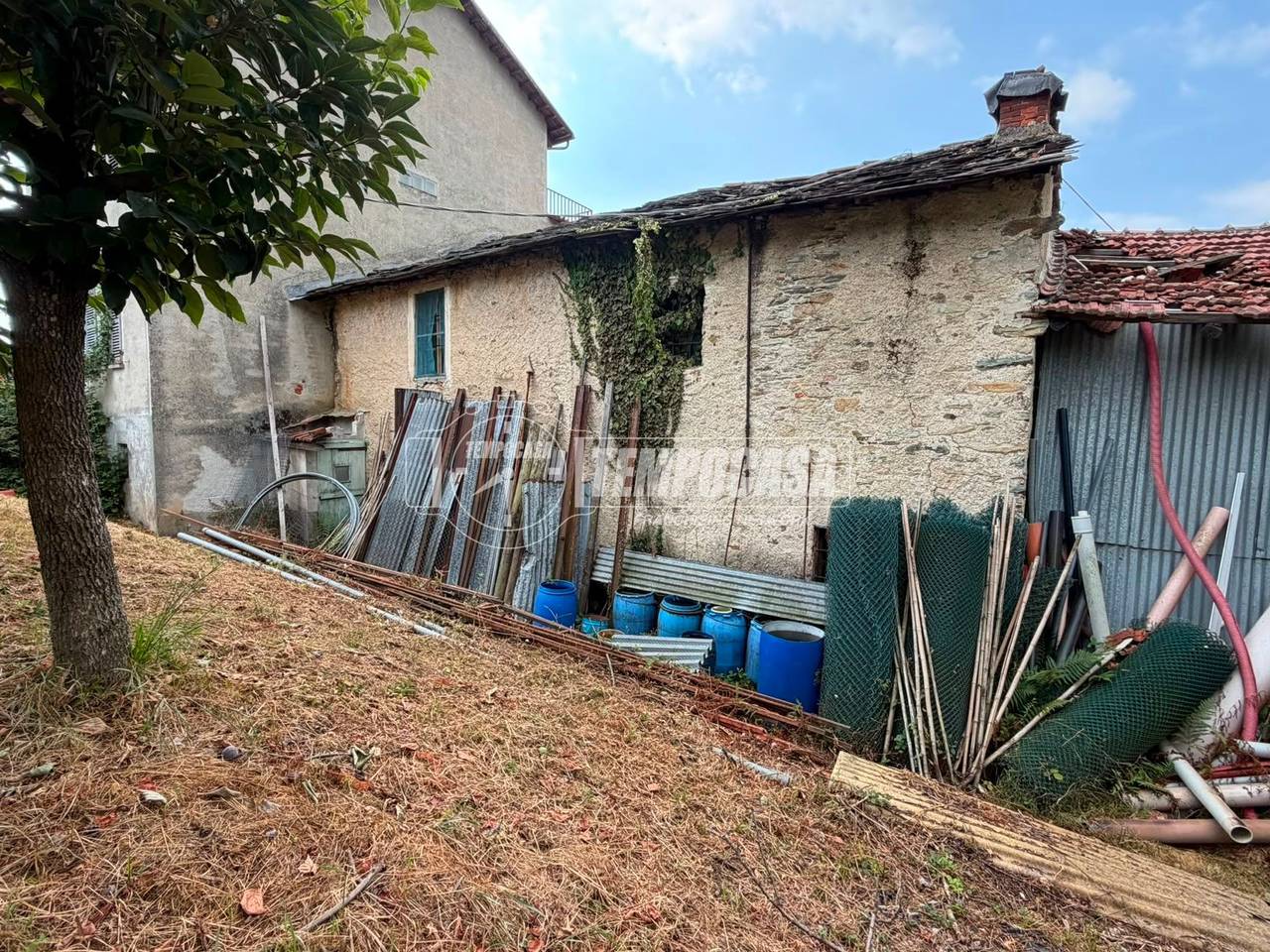 immagine annuncio 9 di 12