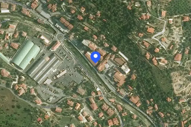 insertion image