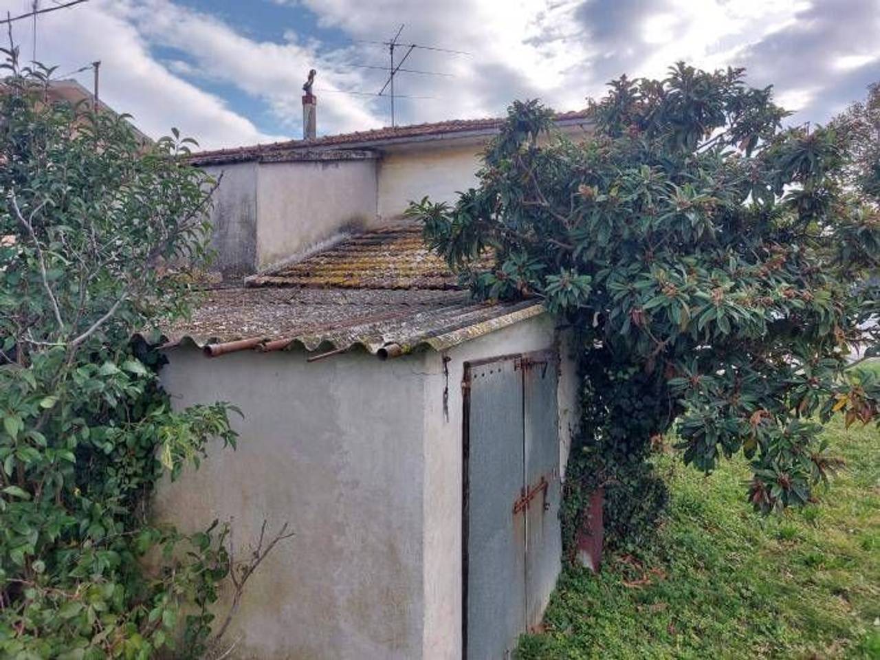 immagine annuncio 2 di 9