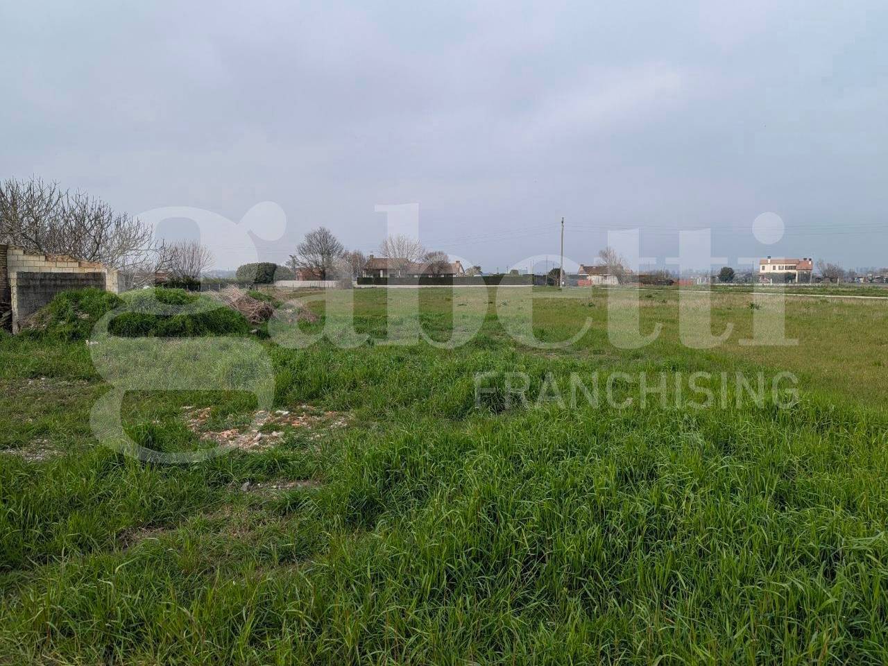 immagine annuncio 7 di 8