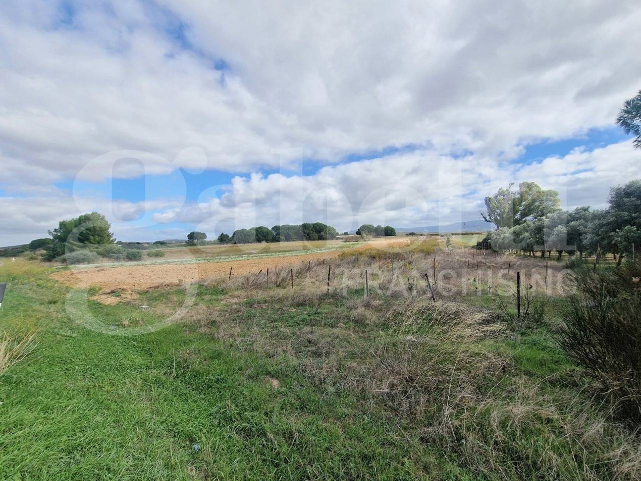 immagine annuncio 4 di 8