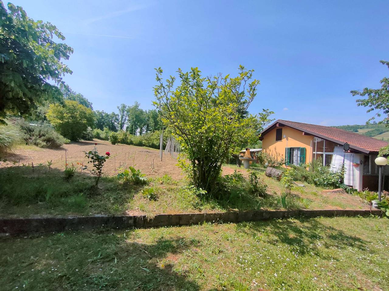 immagine annuncio 3 di 15