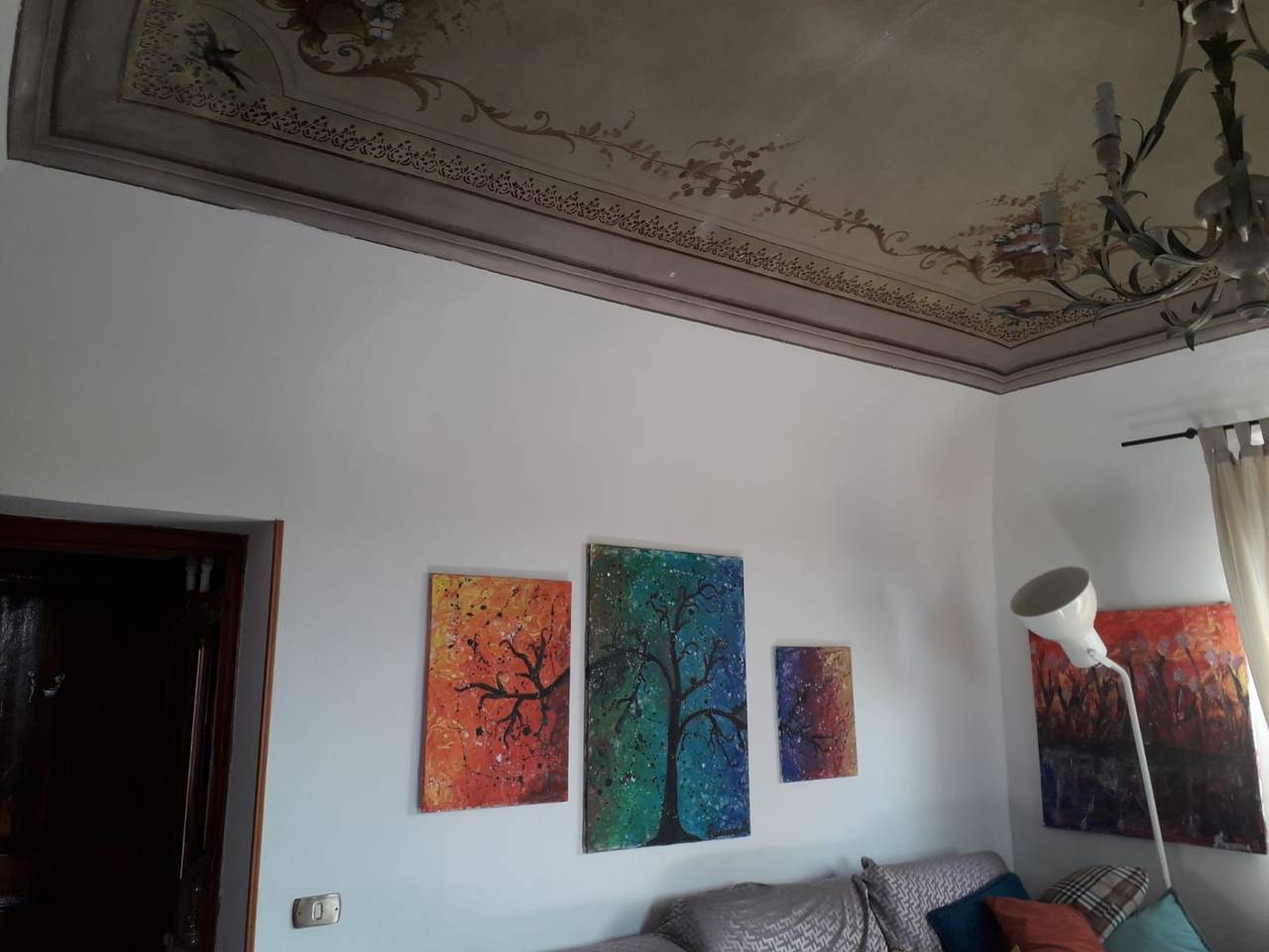 immagine annuncio 5 di 15