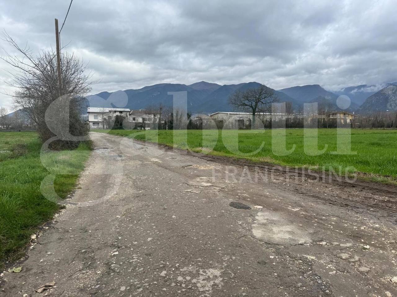 immagine annuncio 6 di 7