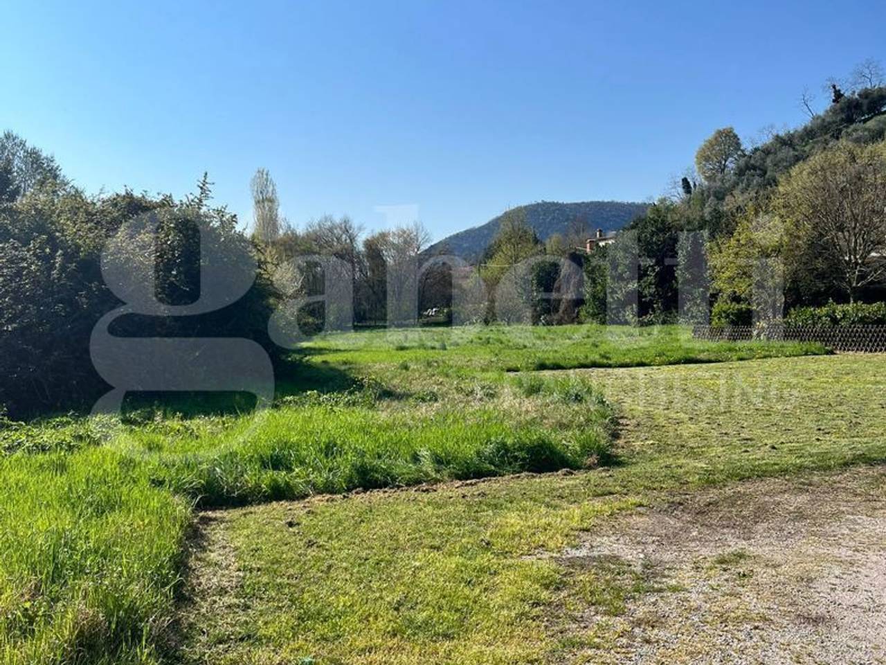 immagine annuncio 7 di 12