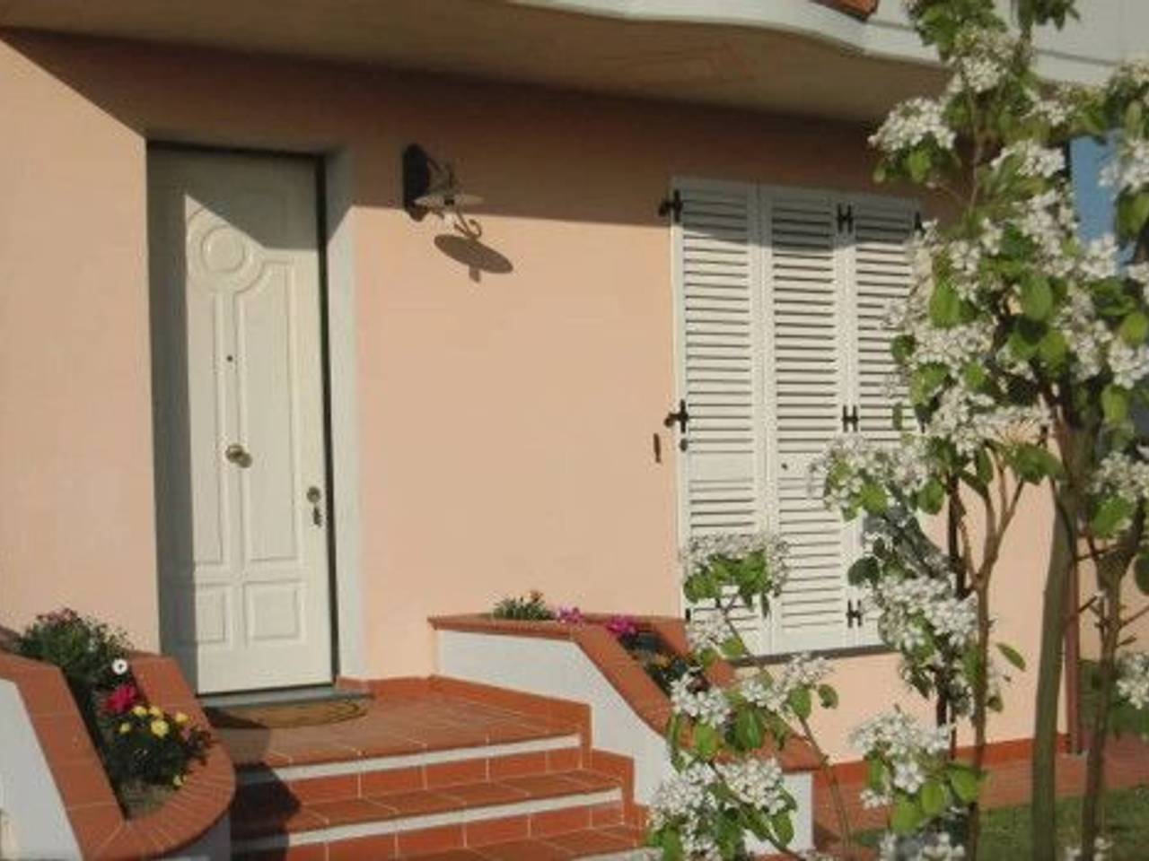 immagine annuncio 1 di 6