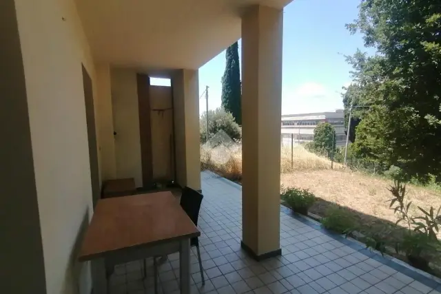 insertion image
