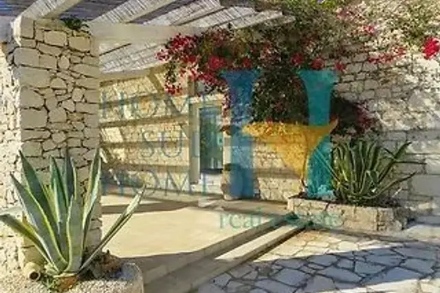 insertion image