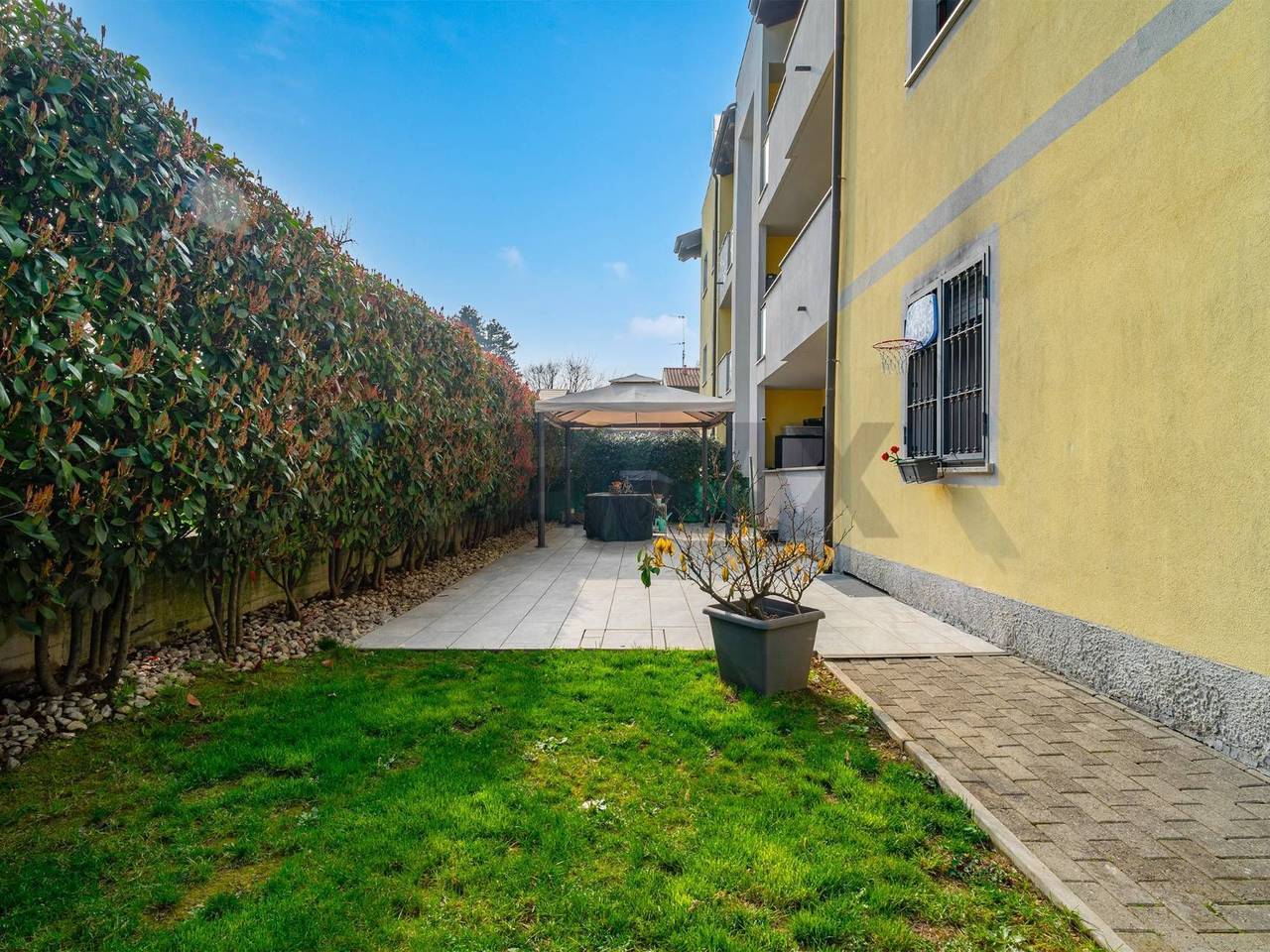 immagine annuncio 9 di 15