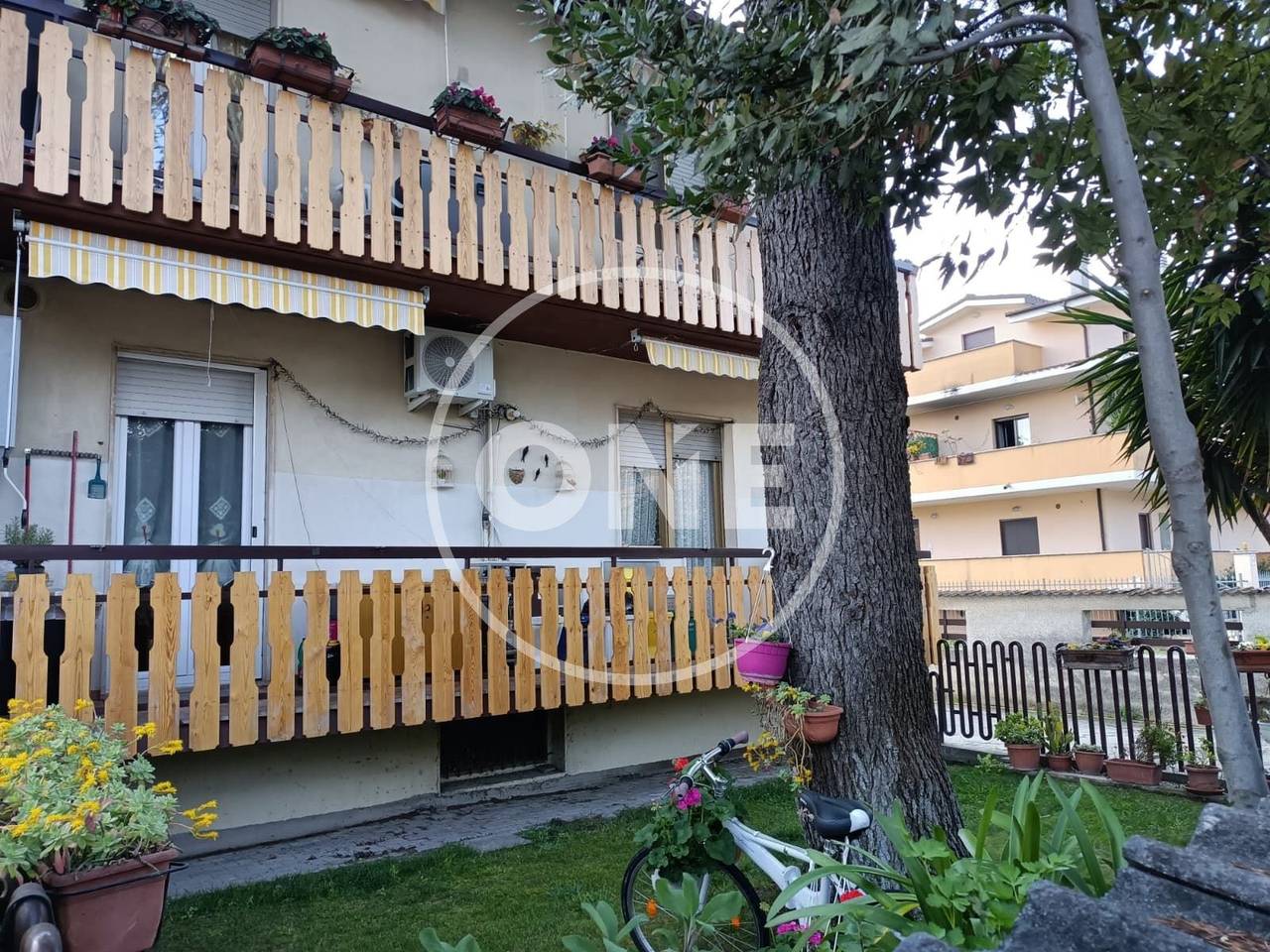 immagine annuncio 12 di 13