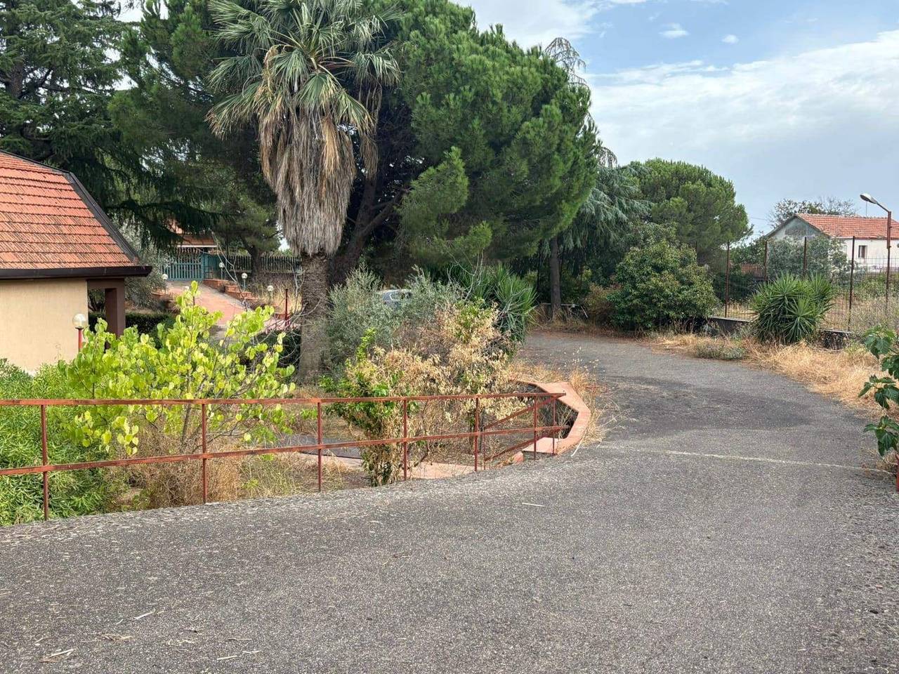 immagine annuncio 11 di 12