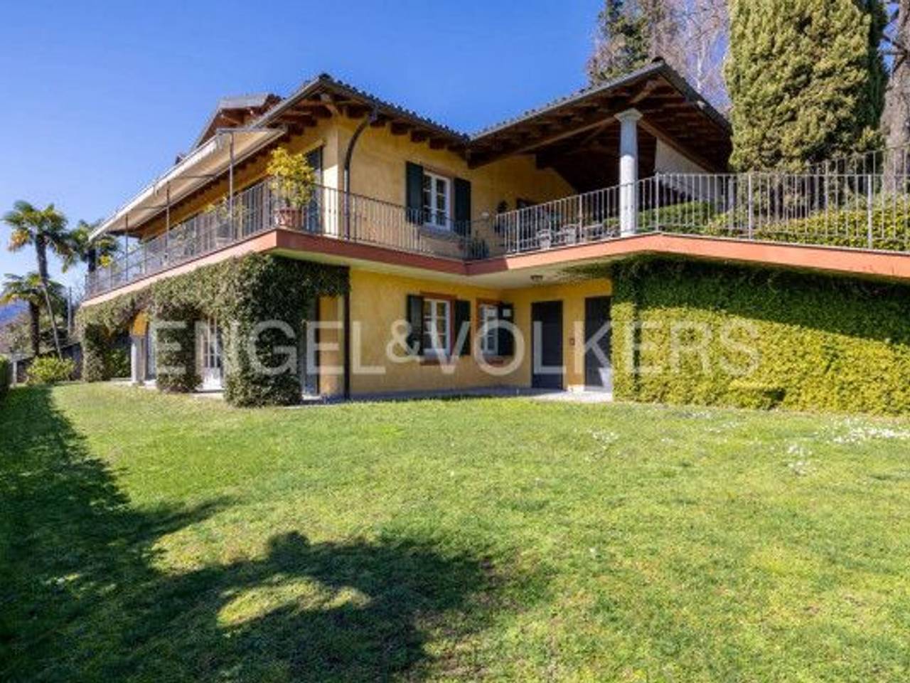 immagine annuncio 10 di 15