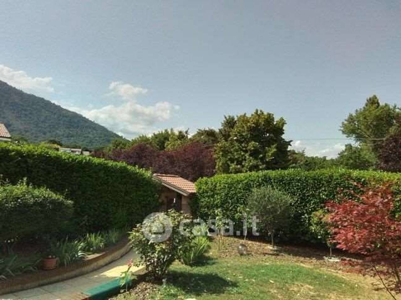 immagine annuncio 5 di 15