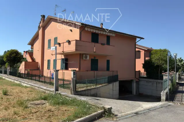 insertion image