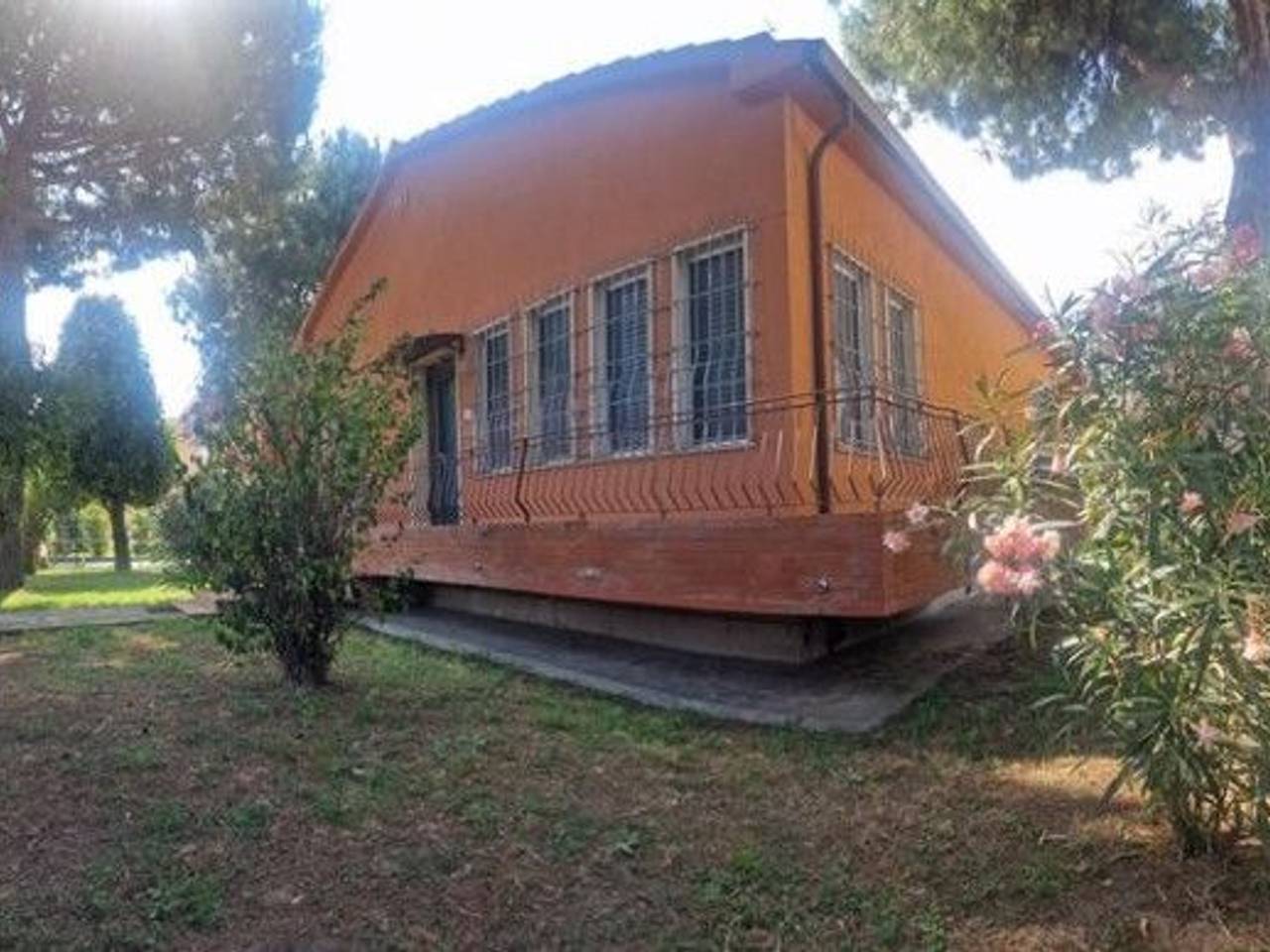 immagine annuncio 12 di 15