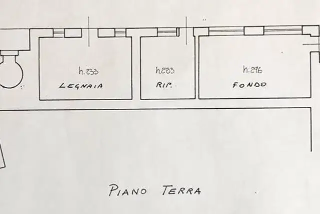 main planimetry real estate image