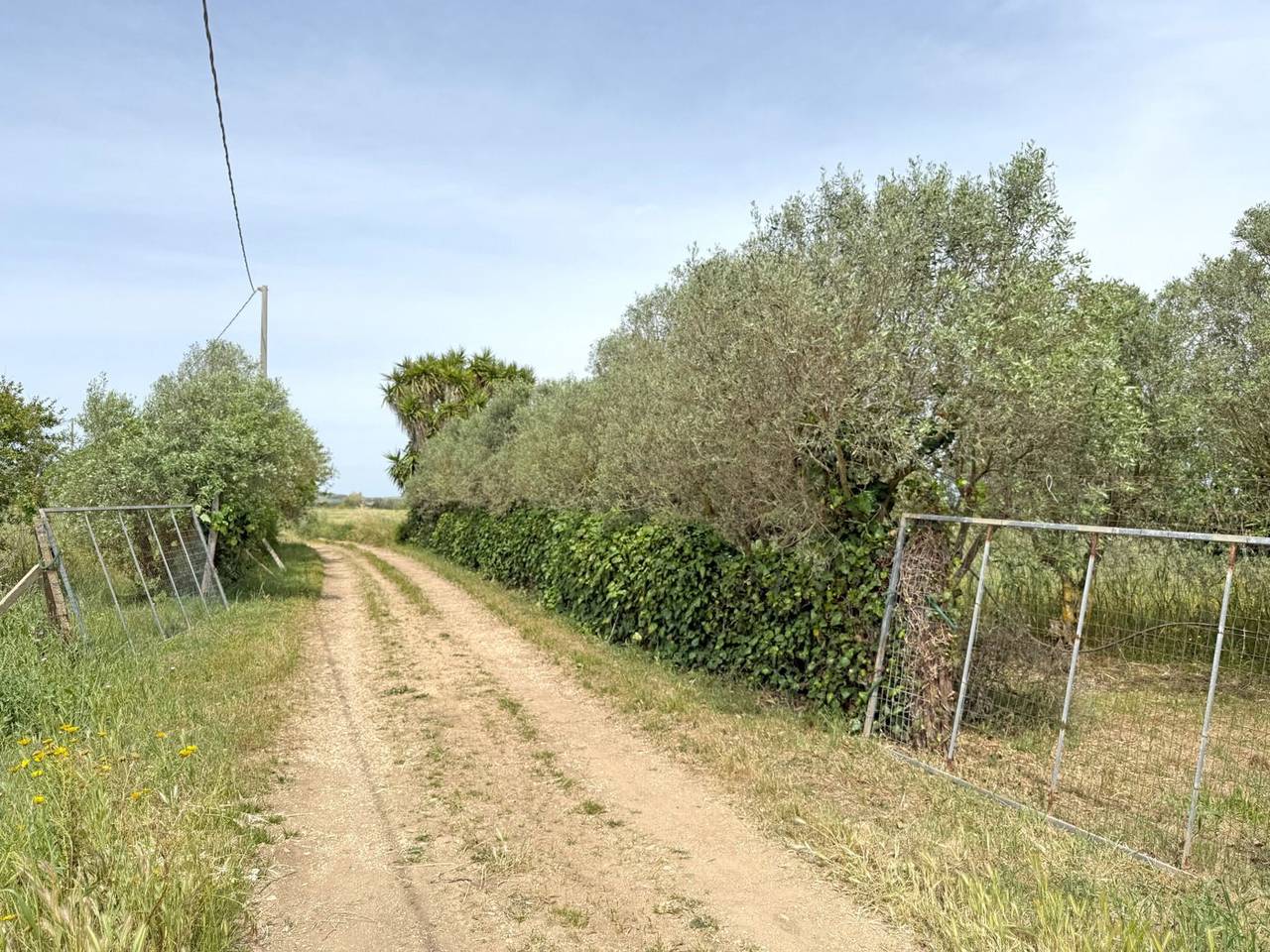 immagine annuncio 3 di 6