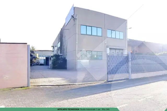 insertion image