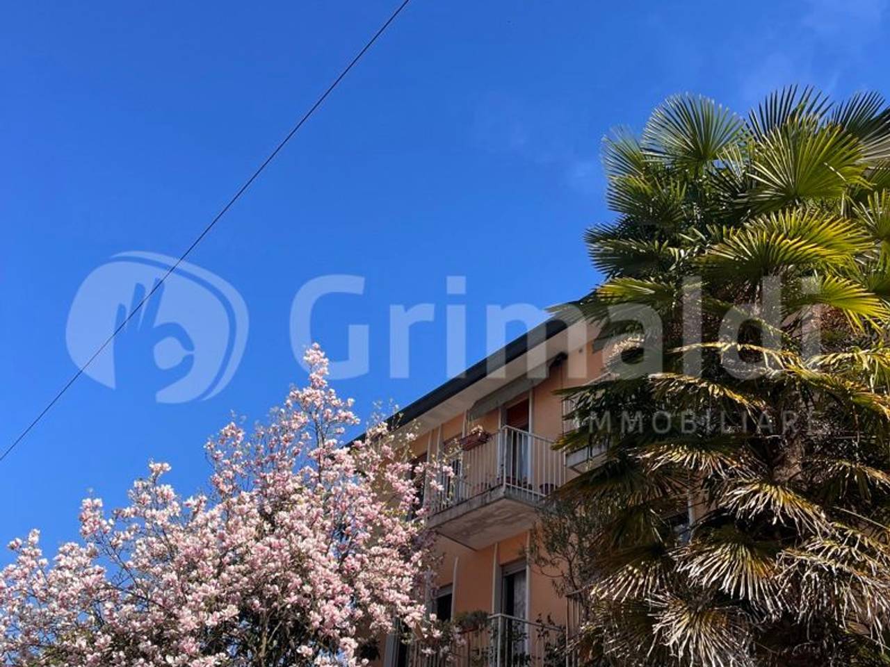 immagine annuncio 7 di 9