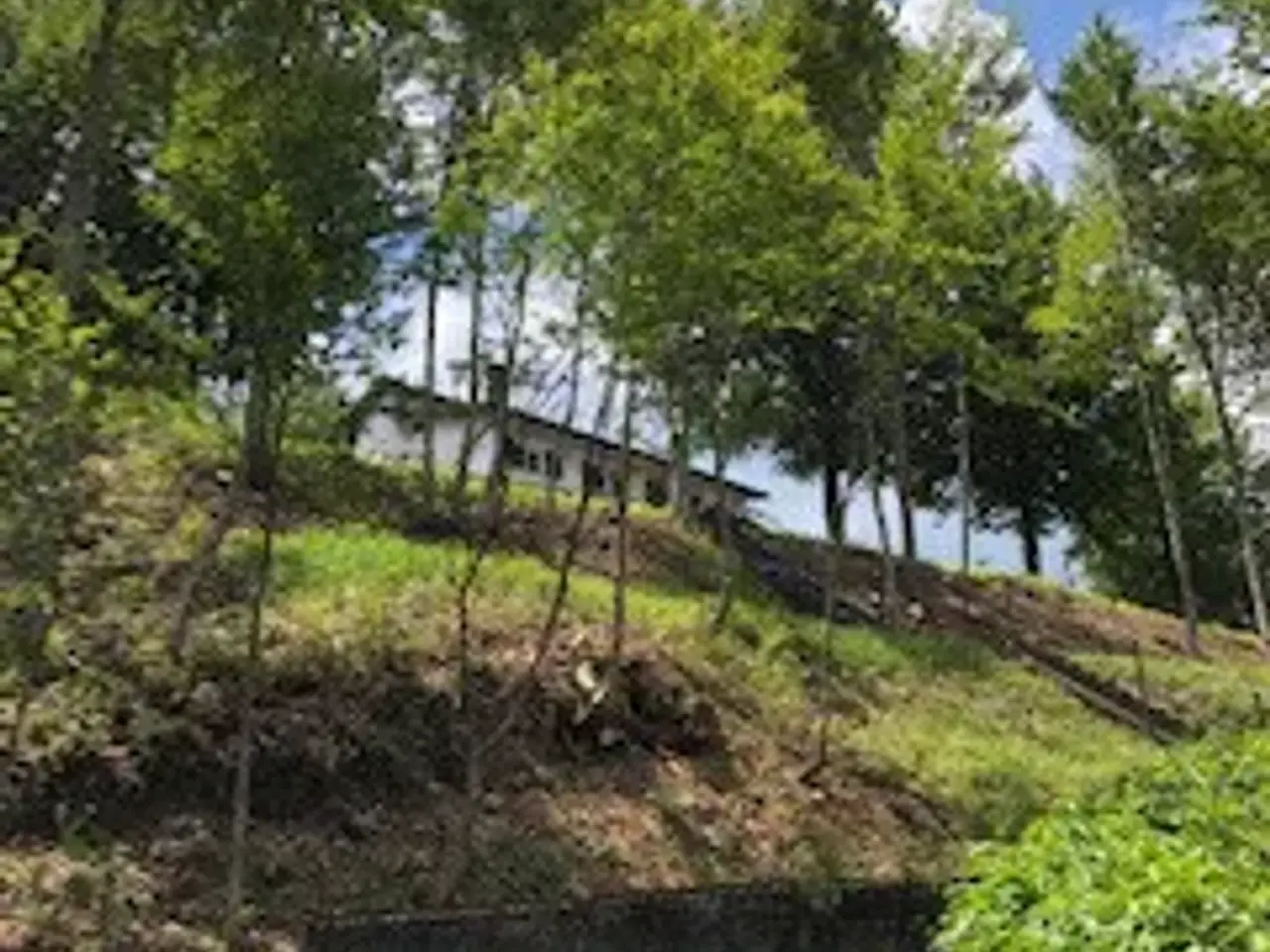 Albergo in Monte Armano 1, Ferriere, Ferriere, {3} - Foto 1