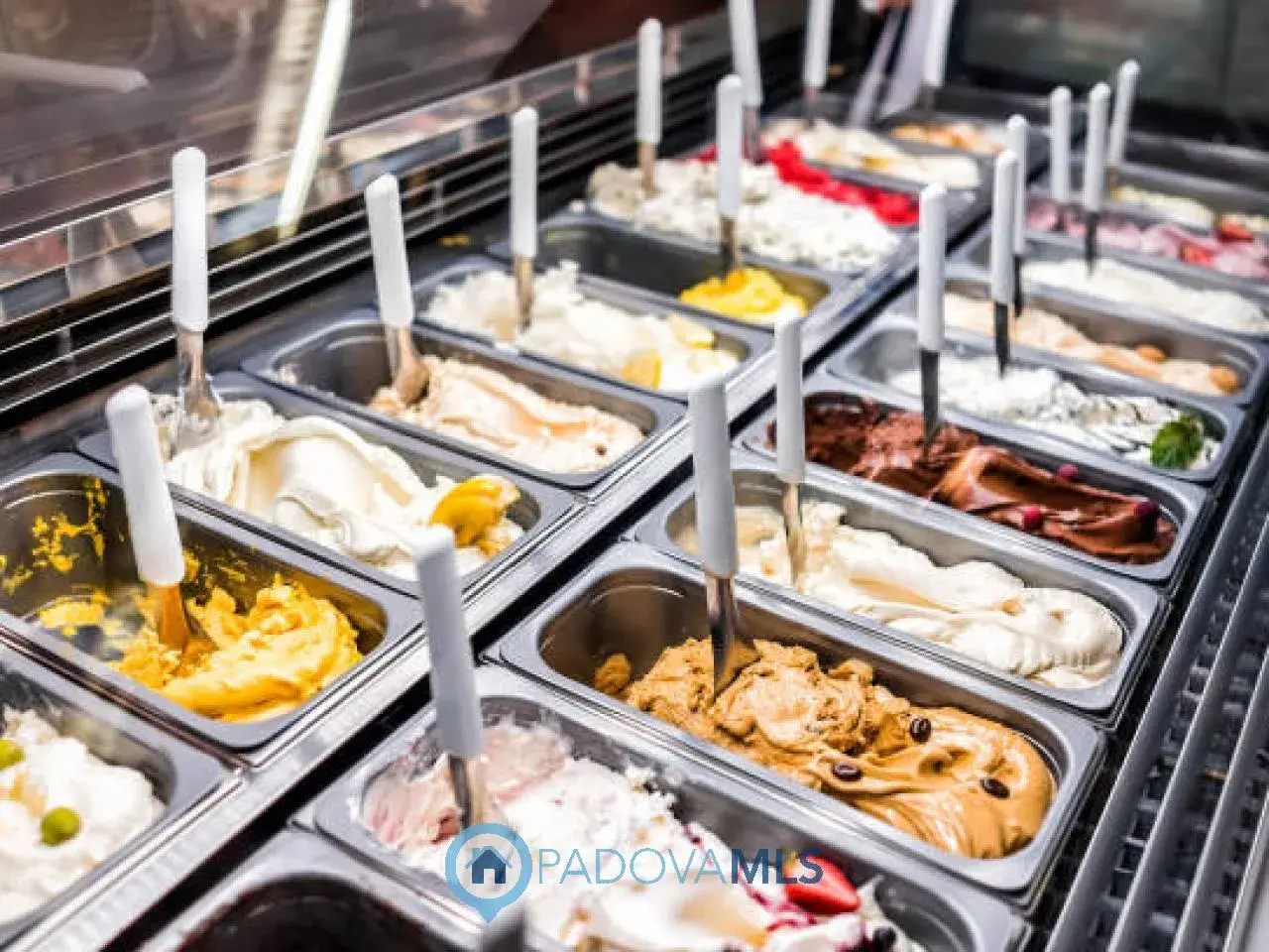 Gastronomia in Prato della Valle, Padova, {3} - Foto 2