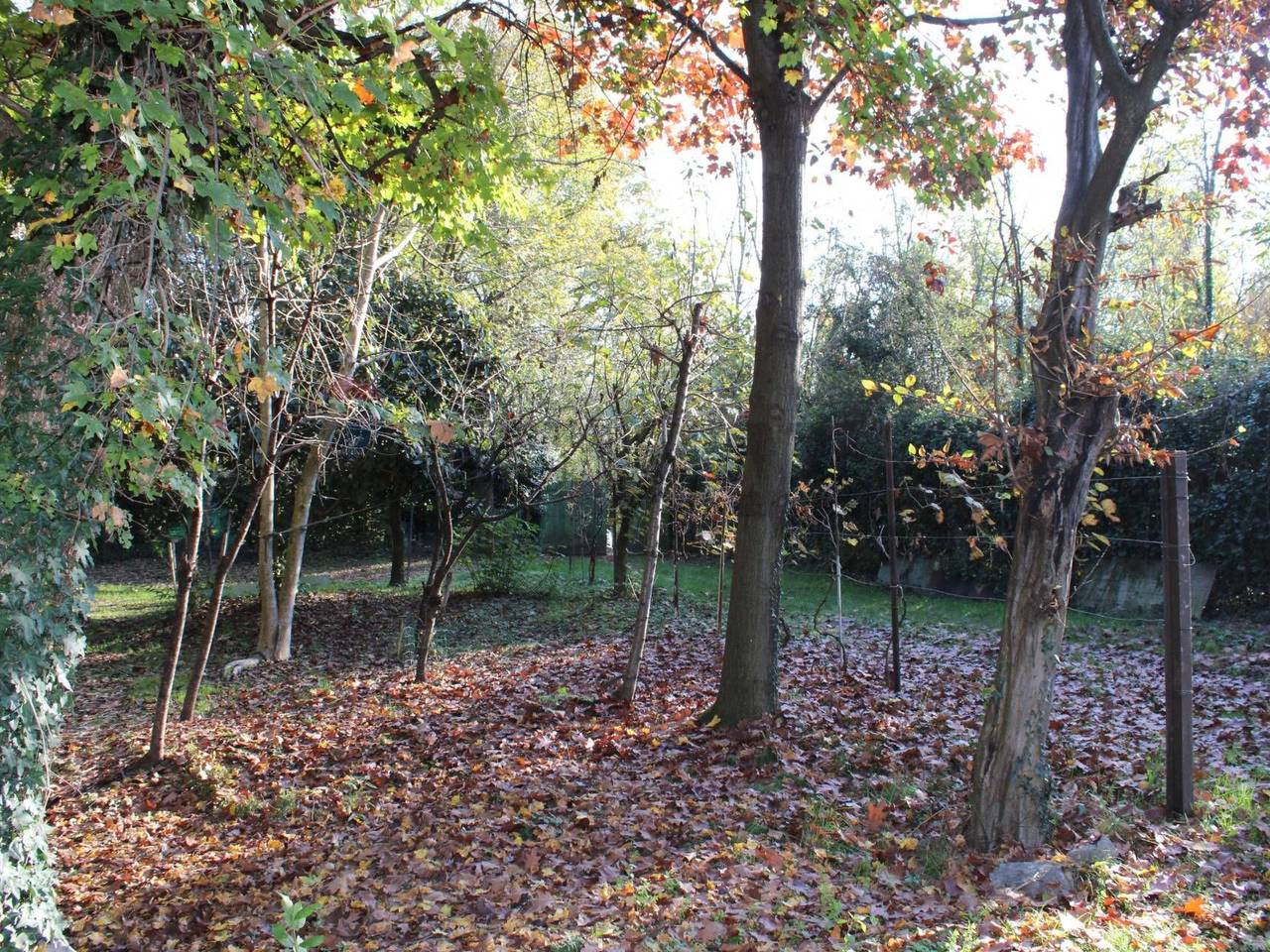 immagine annuncio 12 di 14