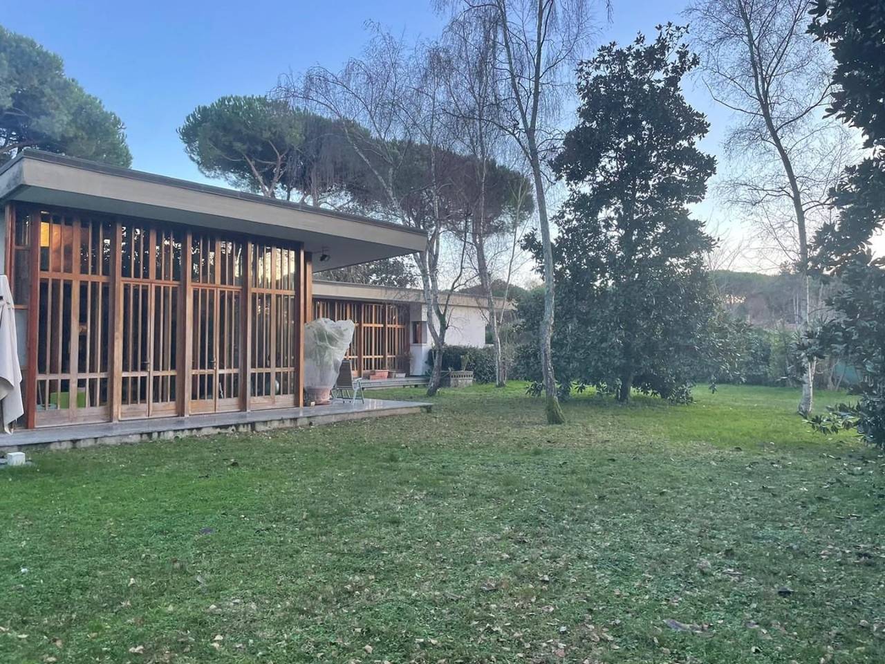 immagine annuncio 6 di 14