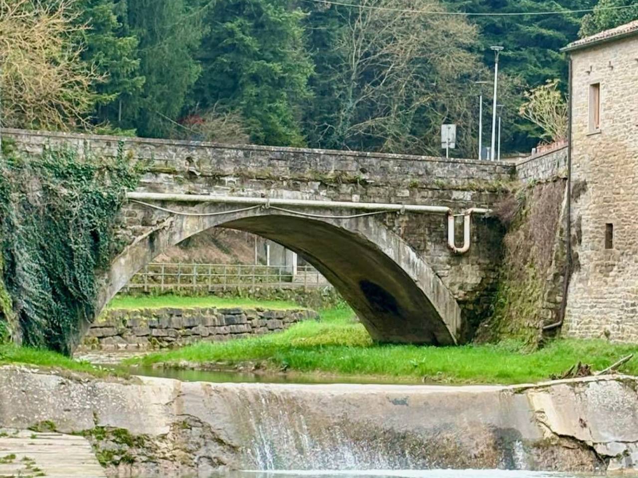 immagine annuncio 13 di 14