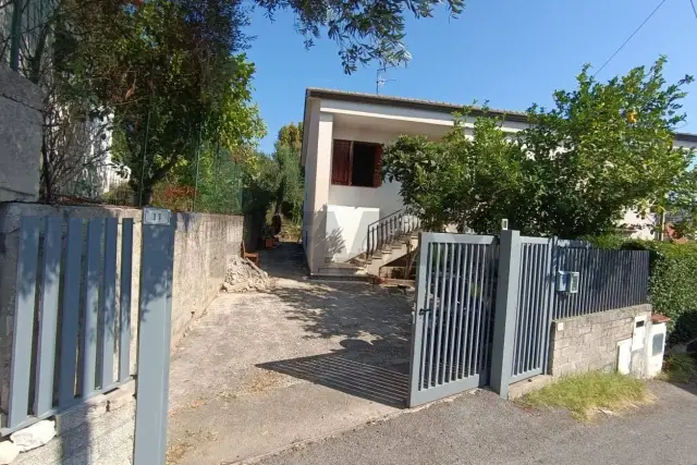 insertion image