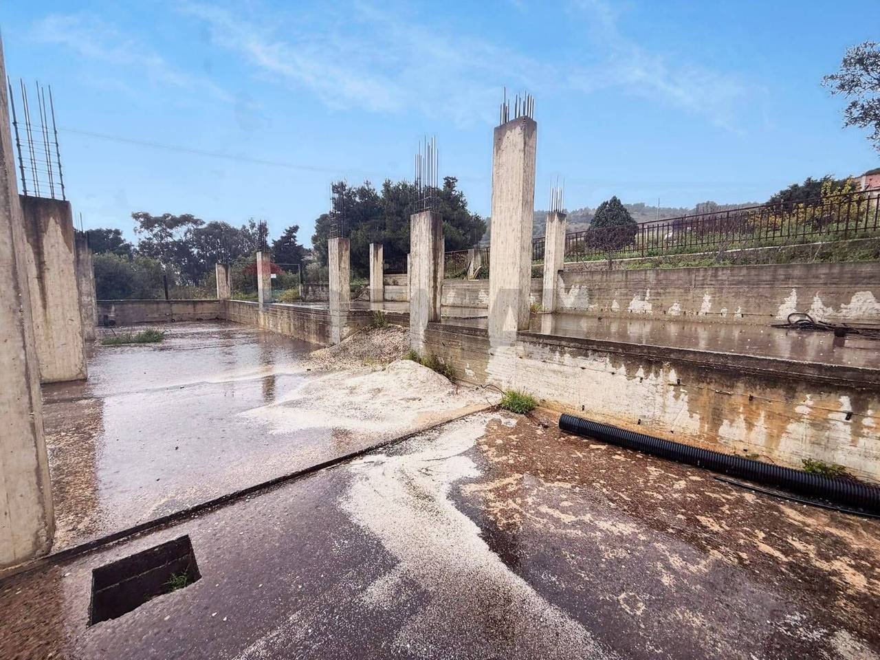 immagine annuncio 12 di 13