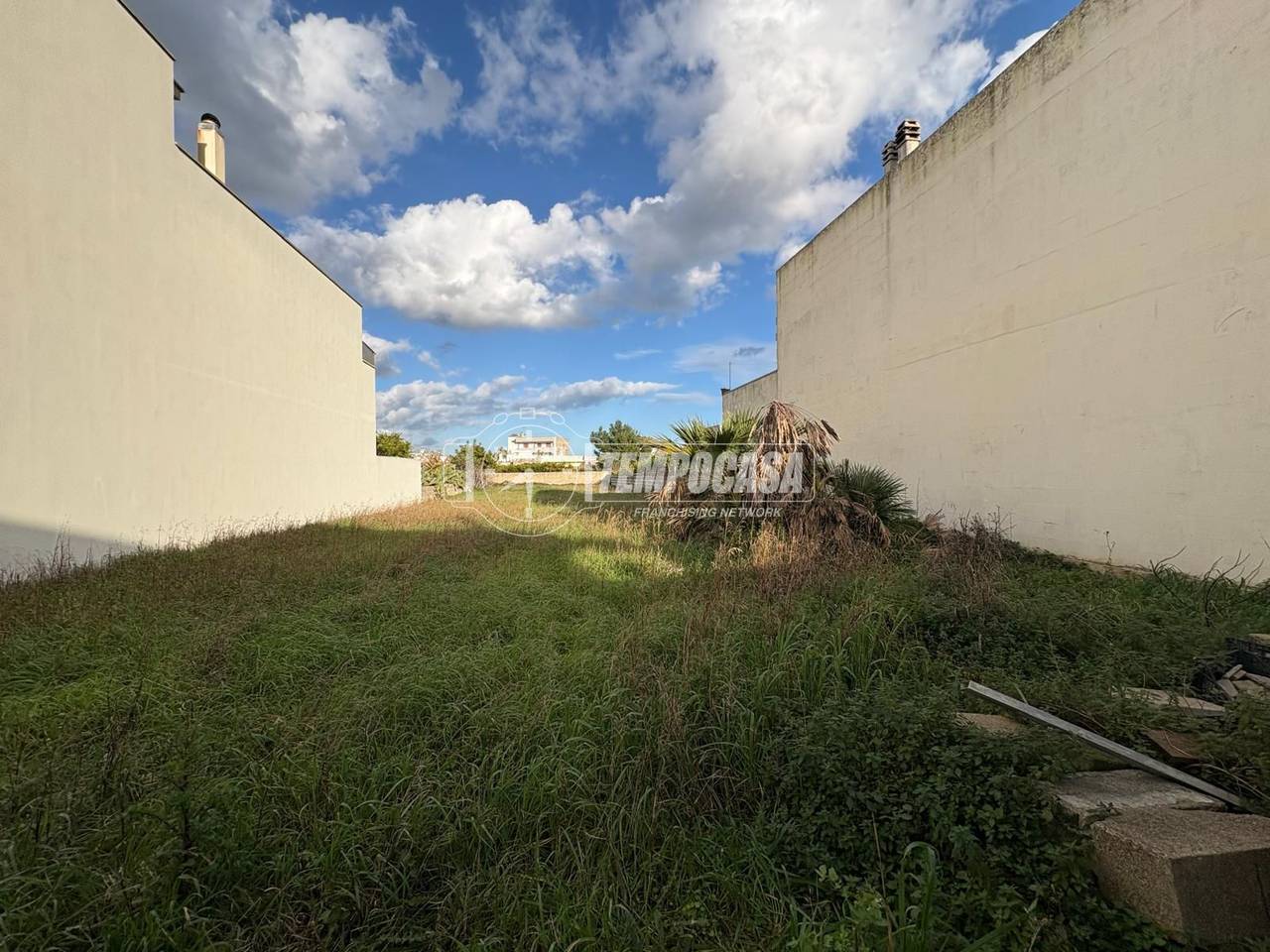 immagine annuncio 8 di 11