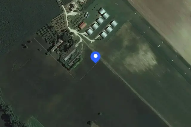 insertion image